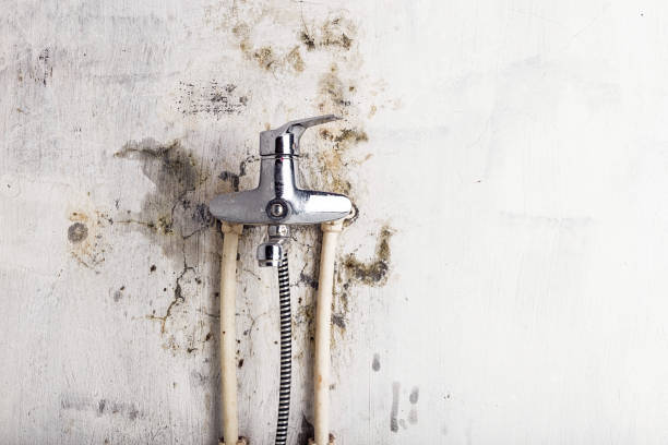 Mold Testing and Removal in Beatrice, NE