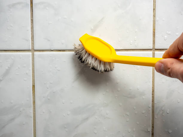 Best Fast Mold Removal  in Beatrice, NE