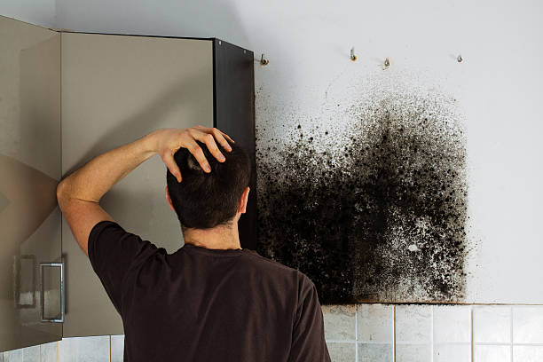 Best Residential Mold Removal  in Beatrice, NE